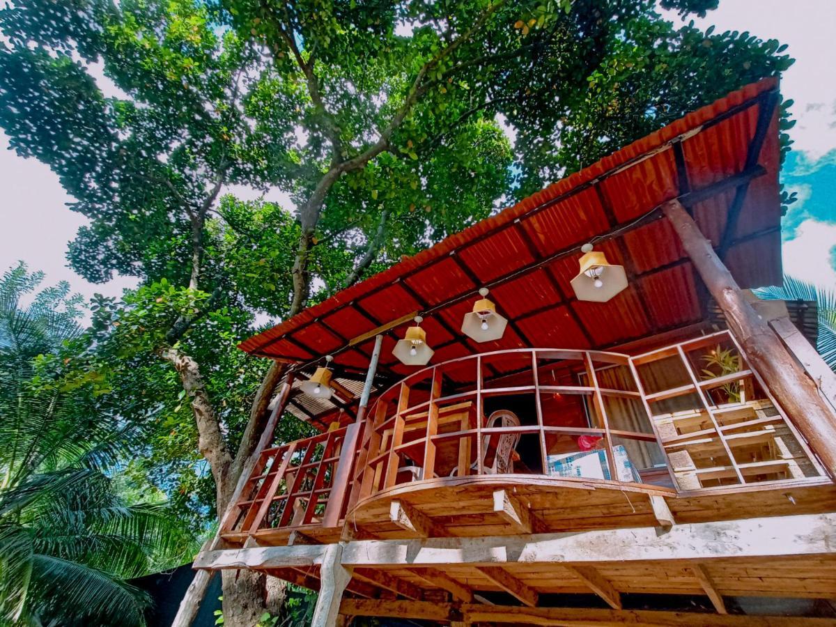 Experience The Comforts Of An Amazing Treehouse Sigiriya Eksteriør bilde