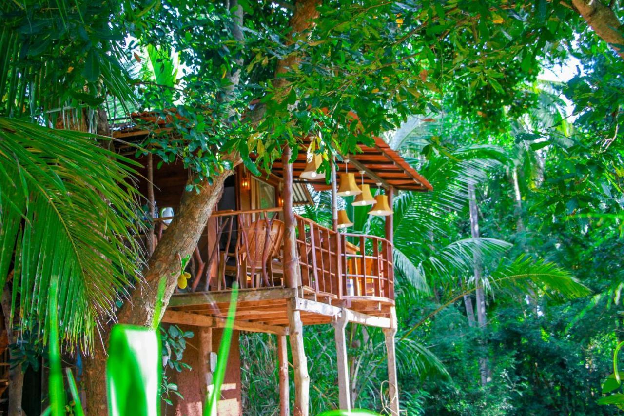 Experience The Comforts Of An Amazing Treehouse Sigiriya Eksteriør bilde